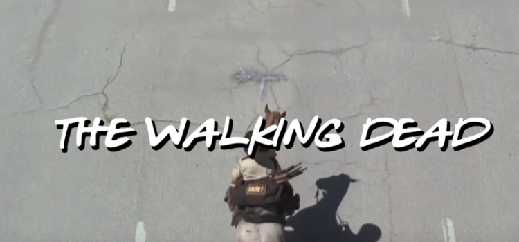 „The Walking Dead“ mit dem „Friends“-Intro kombiniert The Walking Dead und Friends kombiniert