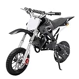 MEELRYD 49cc 2Takt Kinder Dirt Bike Kinderbike, Elektro Kindermotorrad Minibike Motocrossbike...